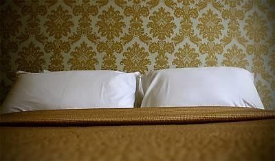 Finnegans Hostel And B&B Accommodation トラリー エクステリア 写真